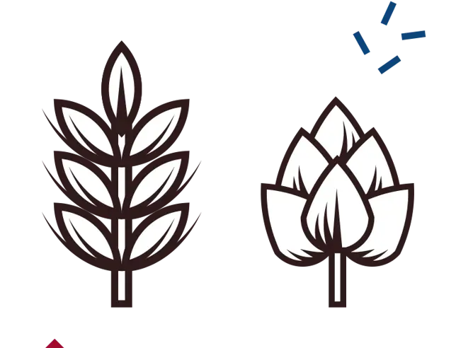 Selection of ingredients used in beer production.