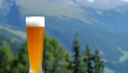 A tall glass of beer with a head of foam, set against a mountain landscape.